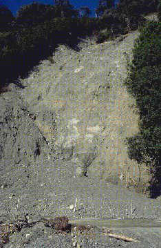 Landslide Across A Road Near Jackson (Don Hadden hadden@ihug.co.nz Copyright )