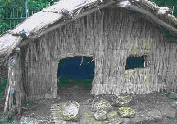 Maori Whare (Don Hadden hadden@ihug.co.nz Copyright )